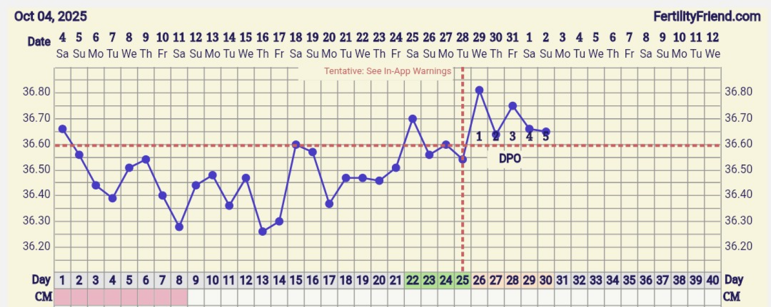 BBT chart interpretation help