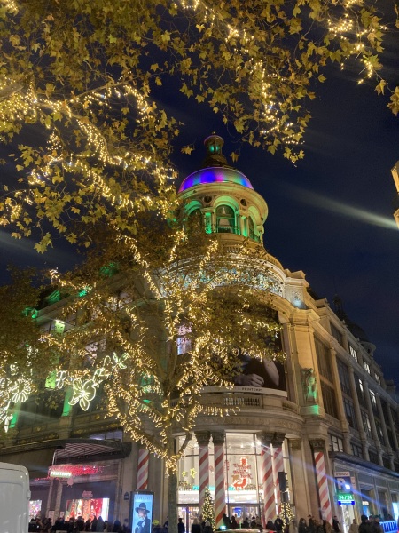 The Nigel Slater Christmas Chronicles readalong 2025 - Part 2