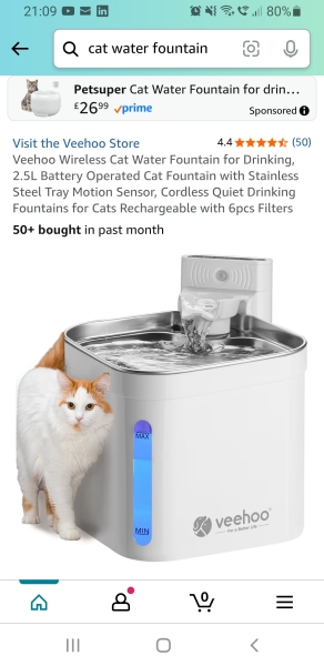 Is it necessary to buy a water fountain?