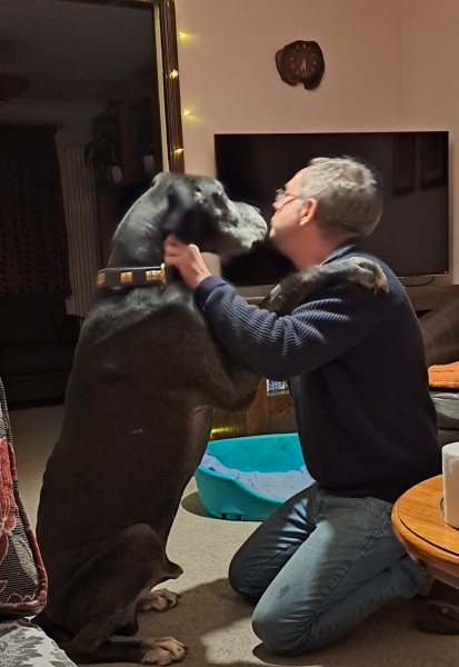 Do you have a large-ish dog, e.g. Boxer and bigger that insists on being a lap dog, when it really isn't?