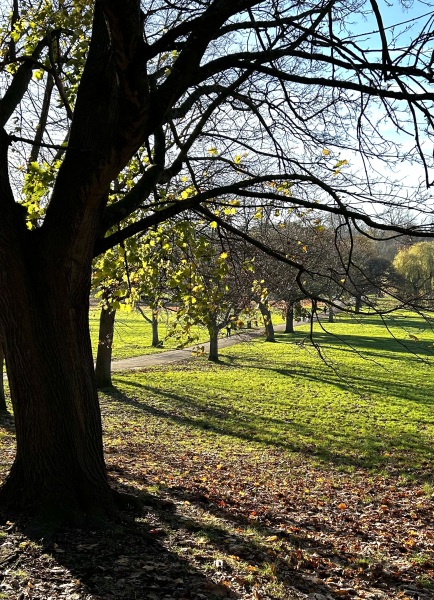 The Nigel Slater Christmas Chronicles readalong 2025 - Part 2