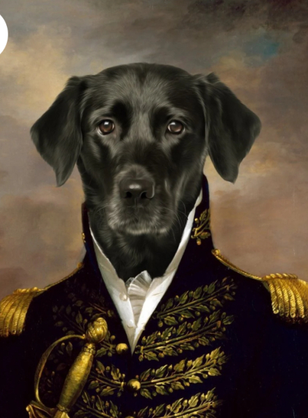 Pooch in the pearl earring - personalised pet portrait recommendations