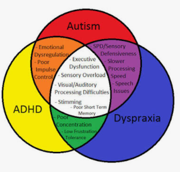 Should we investigate adhd assessment or anti depressants for my ds19
