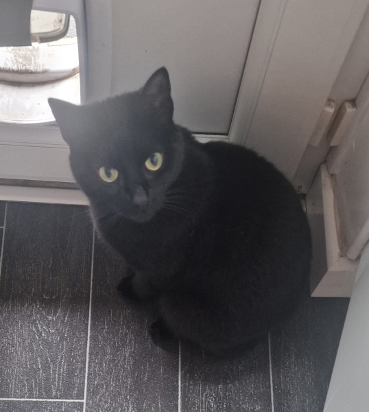 Thread 37 Starmer:  pinko commie slimeball