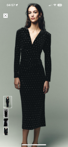 Christmas Party Dress's