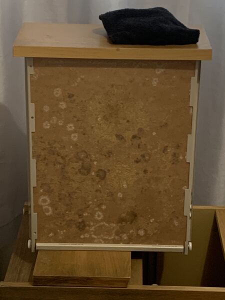 Mould problems in bungalow. Recently concerned for my health and don’t know what to do next. Please help