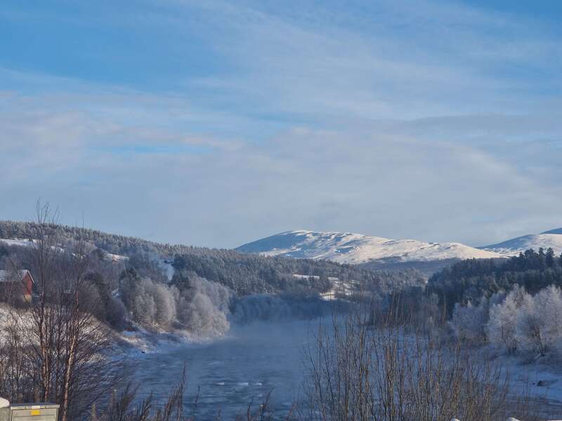 Year round Nigel Slater discussion thread - Part 3