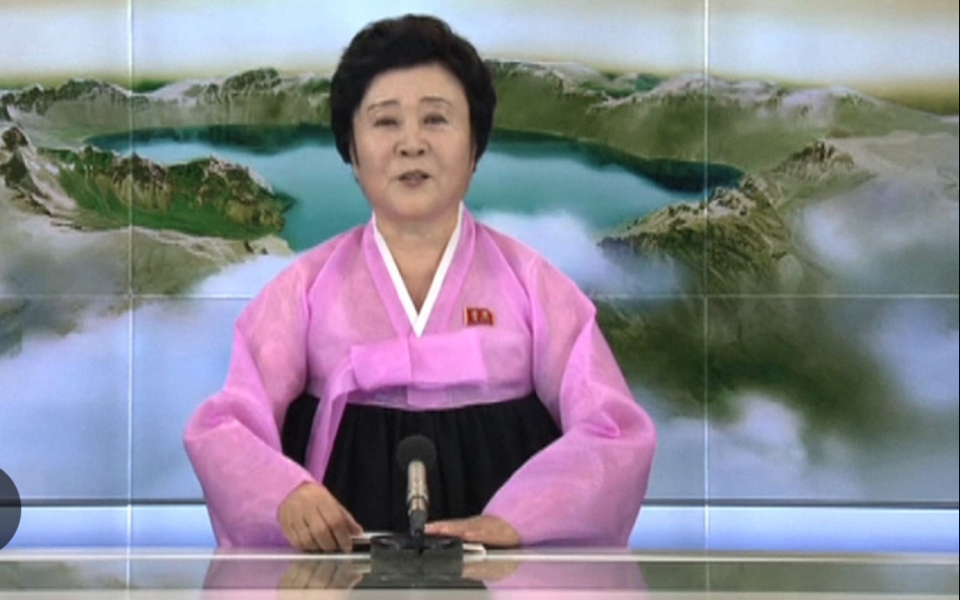 Trump's plan for Gaza backed by UN Security Council