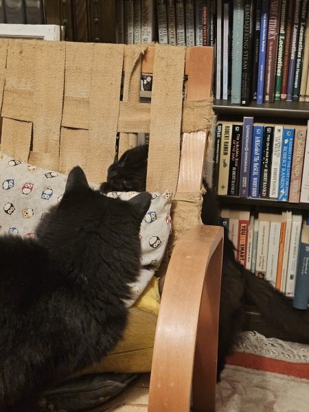 Prison Dramas, Bands and Ouija Boards - the Excellent Cats audition, sing and plot