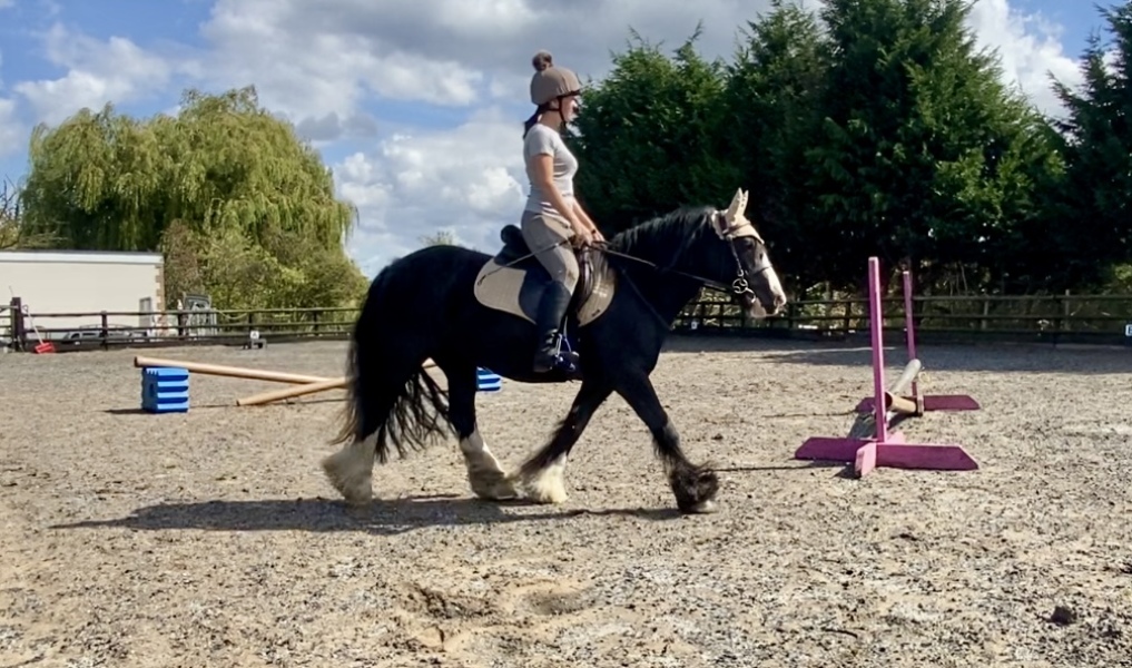 I’m viewing a horse this week!