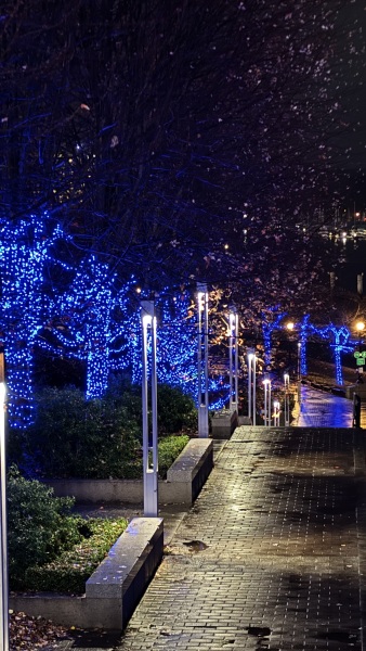 Come and tell us your dull and unexciting news 34: Calmly through the day