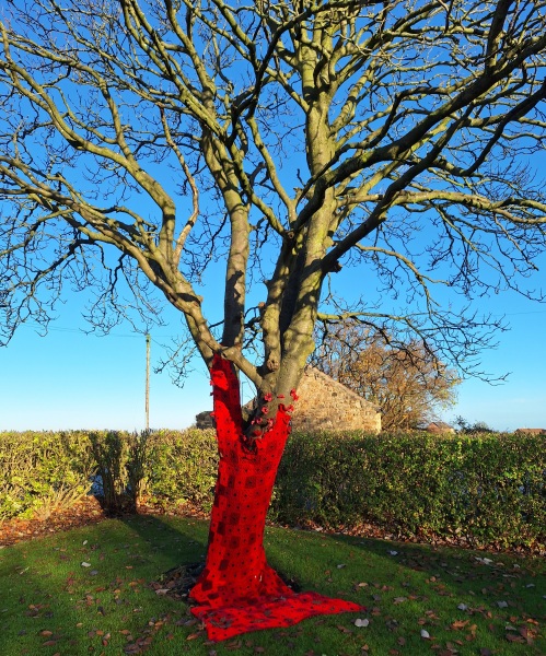 The Nigel Slater Christmas Chronicles Readalong 2025