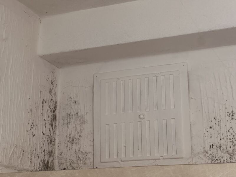 So - mould in property I’ll attach some pics