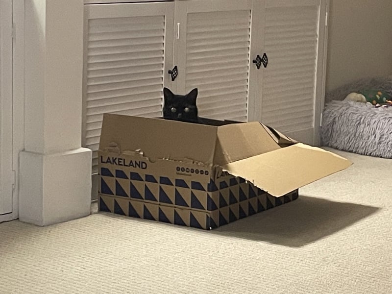 Thread 37 Starmer:  pinko commie slimeball