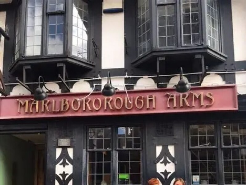 The Bluestocking: All You Need to Know About Risk Assessments, Jazz Hands, Battenberg and Sourdough (But Were Afraid to Ask) - and gerbils. Lots and lots of gerbils.