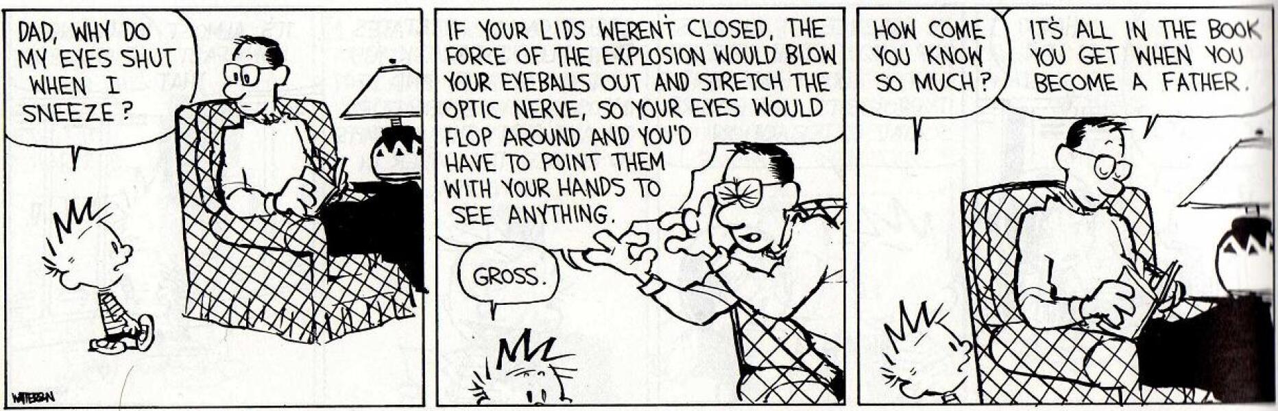 The Bluestocking: All You Need to Know About Risk Assessments, Jazz Hands, Battenberg and Sourdough (But Were Afraid to Ask) - and gerbils. Lots and lots of gerbils.