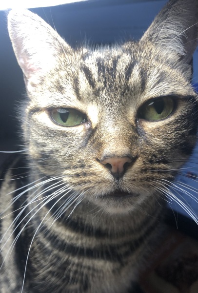 Daily Project round 8