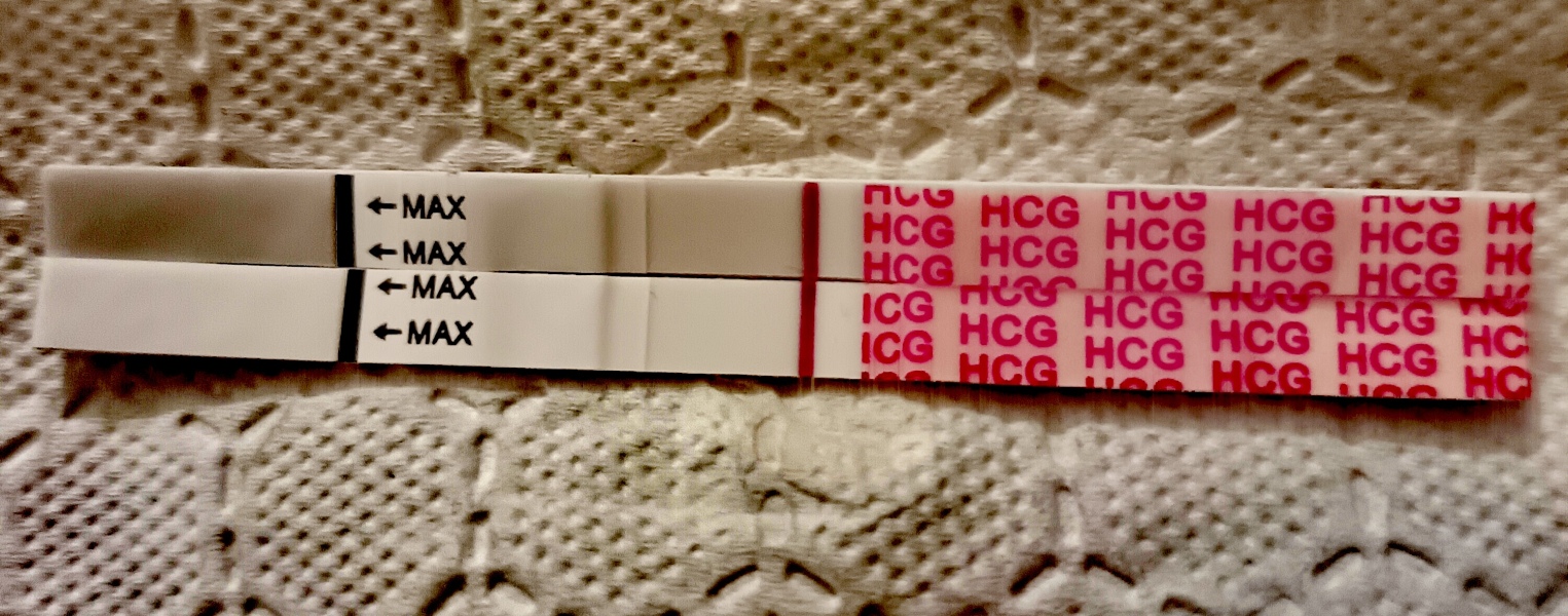 Just feeling so meh this morning