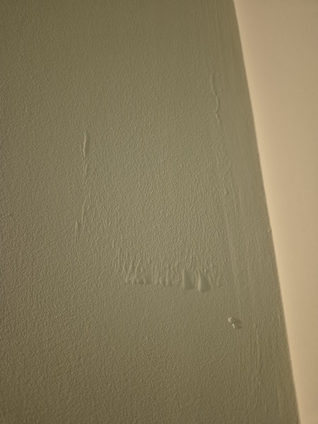 Professional painter expectations