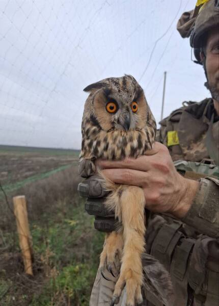 Ukraine Invasion: Part 59