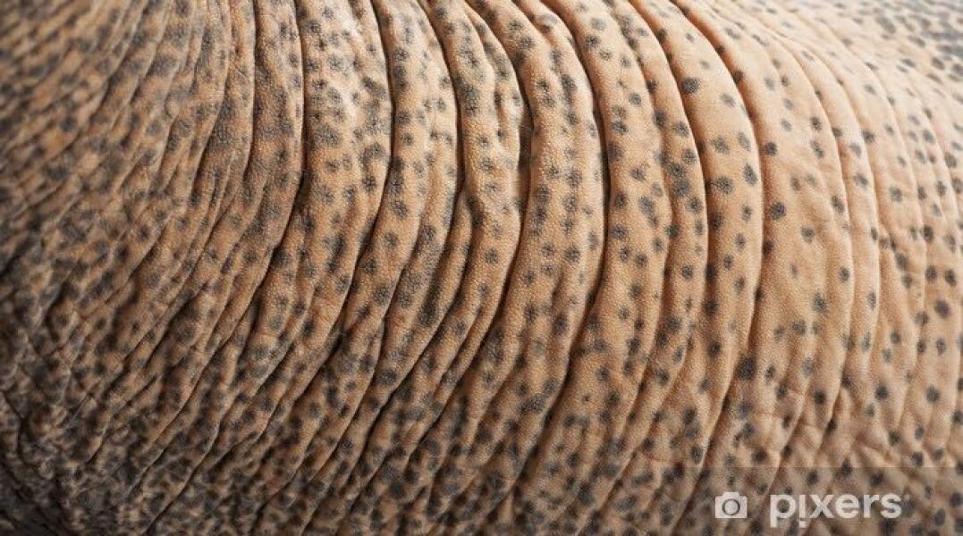 Mounjaro/Wegovy with >5 stone/30kg to lose - thread 11!