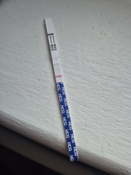 October FET