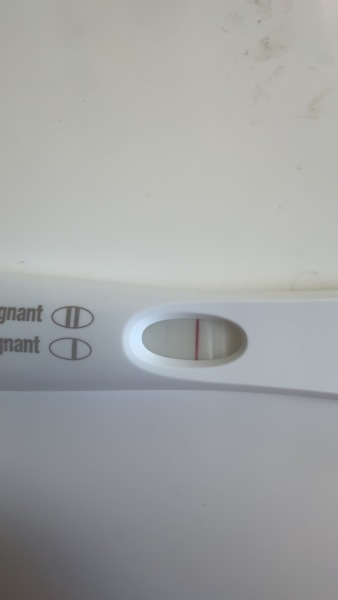 4 weeks 4 days- 13dpo. Chemical