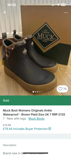 Dog walking boots