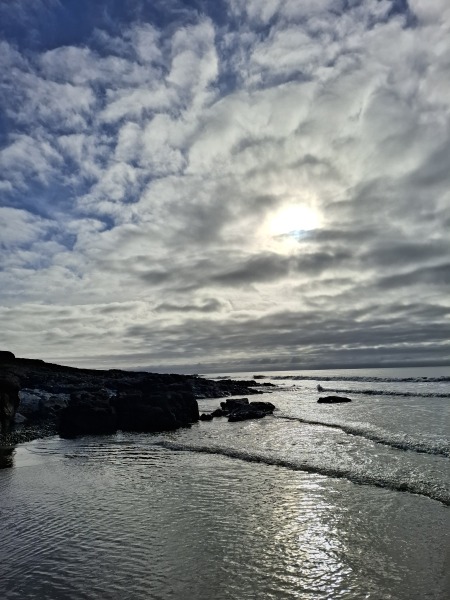 The Nigel Slater Christmas Chronicles readalong 2025 - Part 2