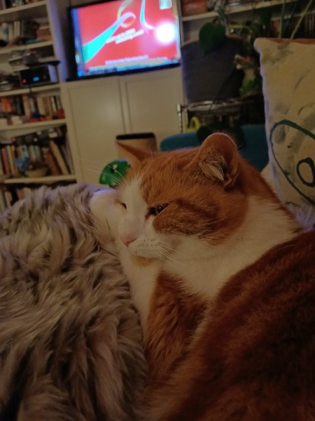 Mounjaro/Wegovy with >5 stone/30kg to lose - thread 11!