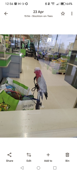 Animal Discrimination