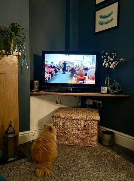 Thread 37 Starmer:  pinko commie slimeball