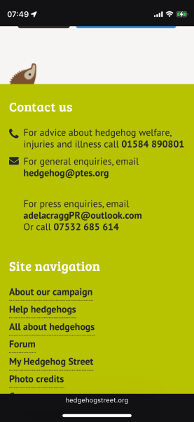What can I do about the hedgehog in the garden?