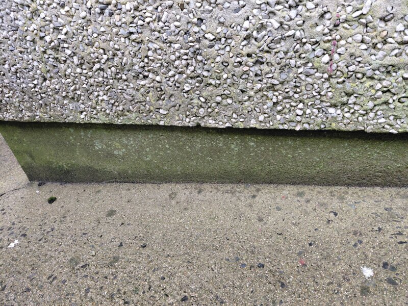 Damp house but no sign of damage, just high RH after a lot of rain.