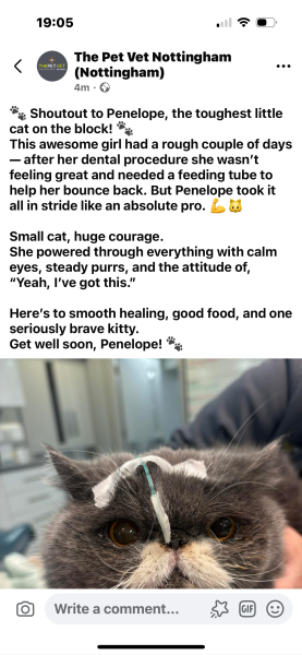 Paws crossed for Penelope please