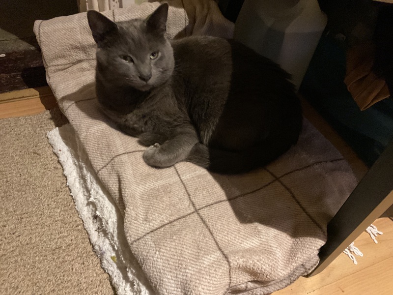 MrCat hasn’t read the manual