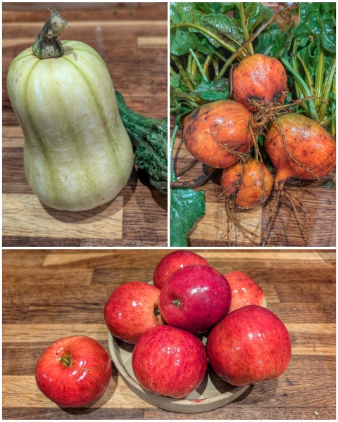 The Vegetable Patch 2024/2025