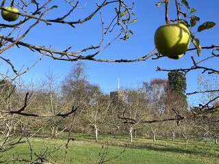 The Nigel Slater Christmas Chronicles readalong 2025 - Part 2