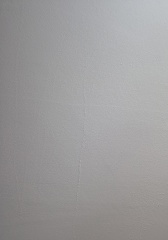 Professional painter expectations