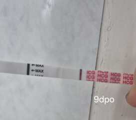 9dpo shadow/vvvfl?