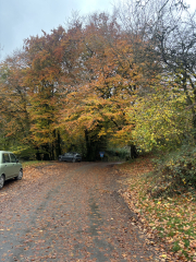 The Nigel Slater Christmas Chronicles Readalong 2025