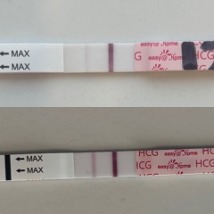 7dp5dt tests