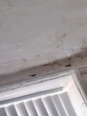 Persistent leak, after new roof