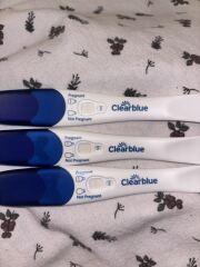 Clear blue evap lines?