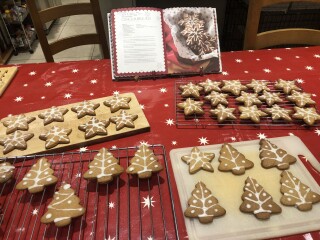 Is this doable for an amateur baker? Christmas biscuits (pic included)