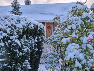 The Nigel Slater Christmas Chronicles readalong 2025 - Part 2