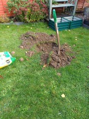 The potting shed: sheltering from the rain and musing about the garden