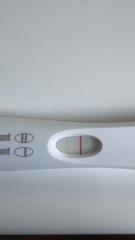 4 weeks 4 days- 13dpo. Chemical