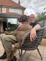 Do you have a large-ish dog, e.g. Boxer and bigger that insists on being a lap dog, when it really isn't?