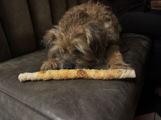 Thread #6, living with incurable cancer, taking ALL the drugs, and remembering our fallen comrades